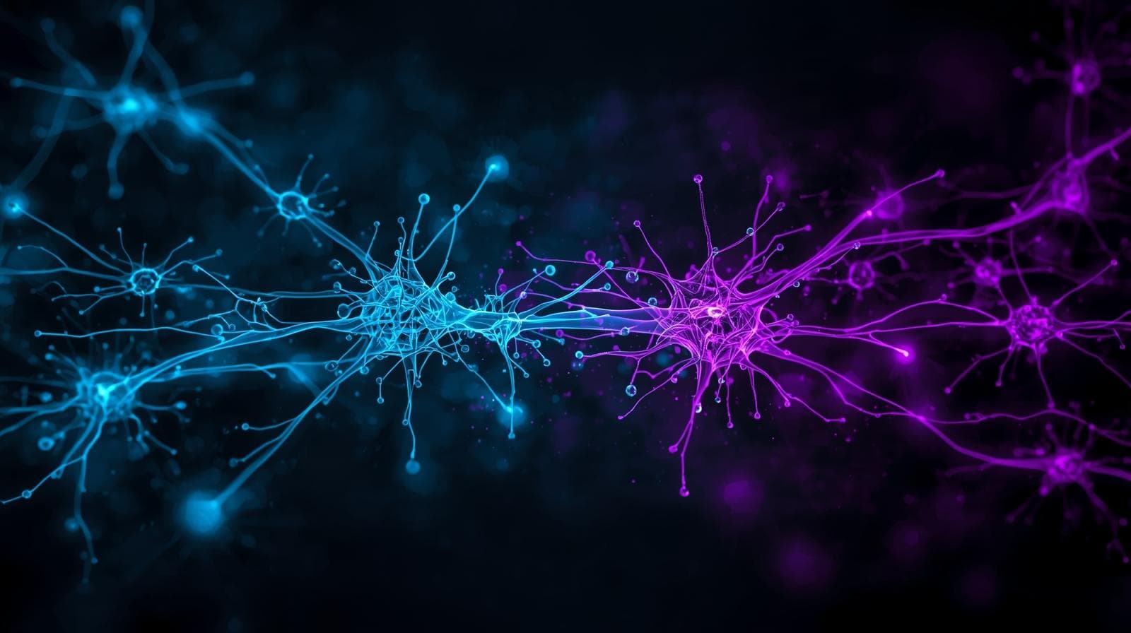 CortexCard networking